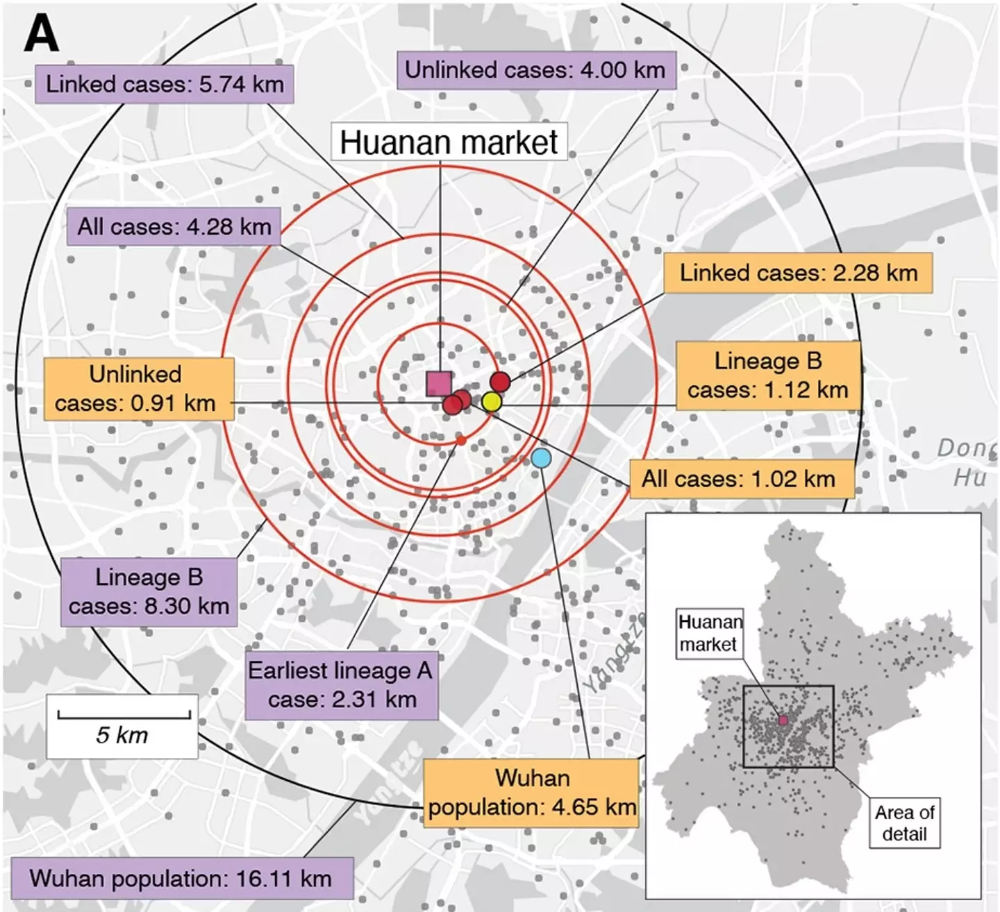 Research has identified a seafood market in Wuhan as the 'epicentre of the pandemic'.