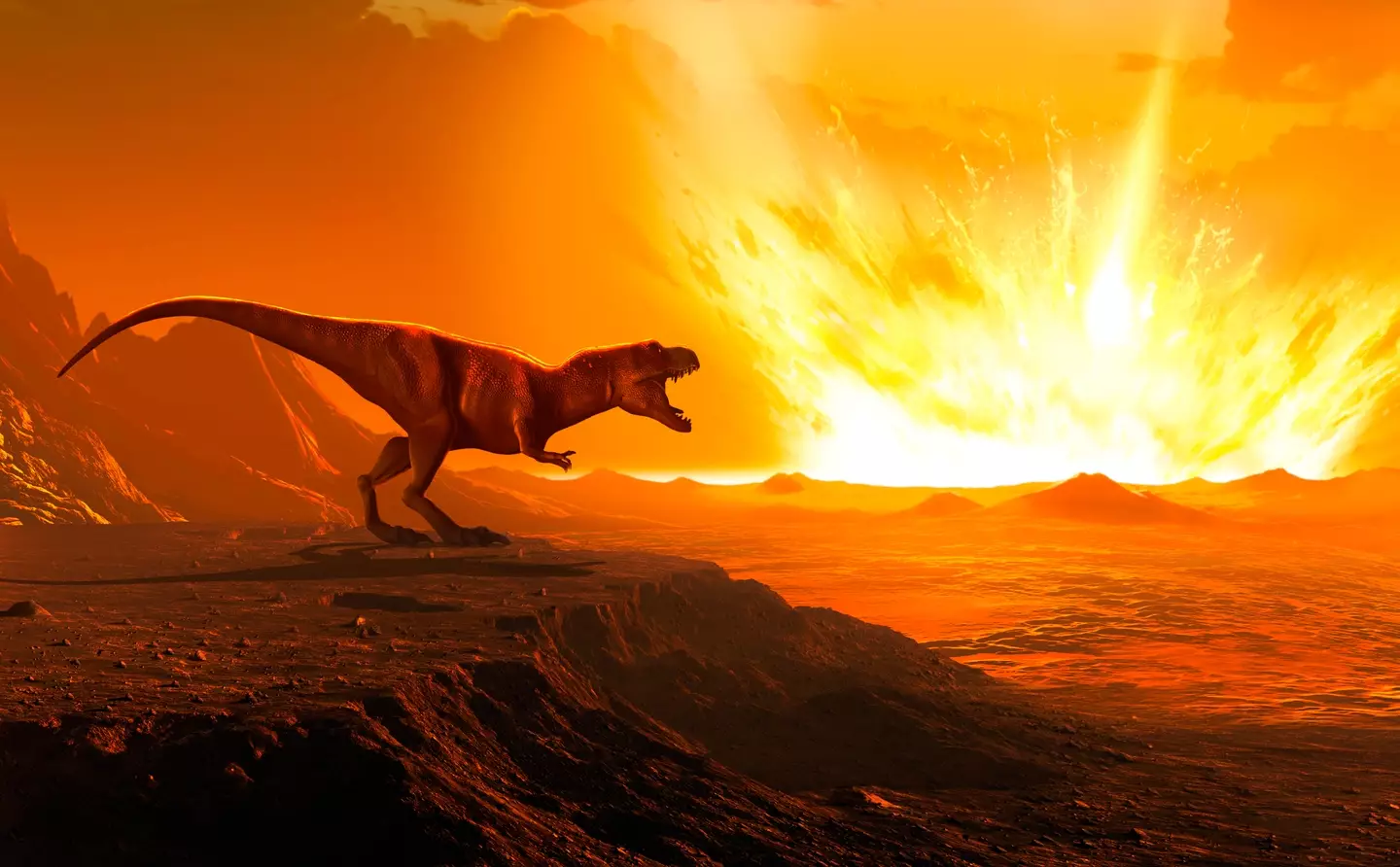 The Chicxulub asteroid collided with Earth 66 million years ago.
