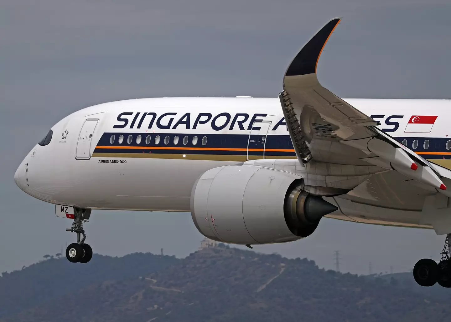 The Singapore Airlines attendant was praised for her kind gesture.