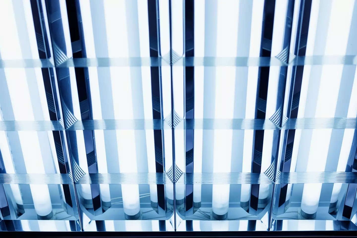 The light poses no risk to humans.