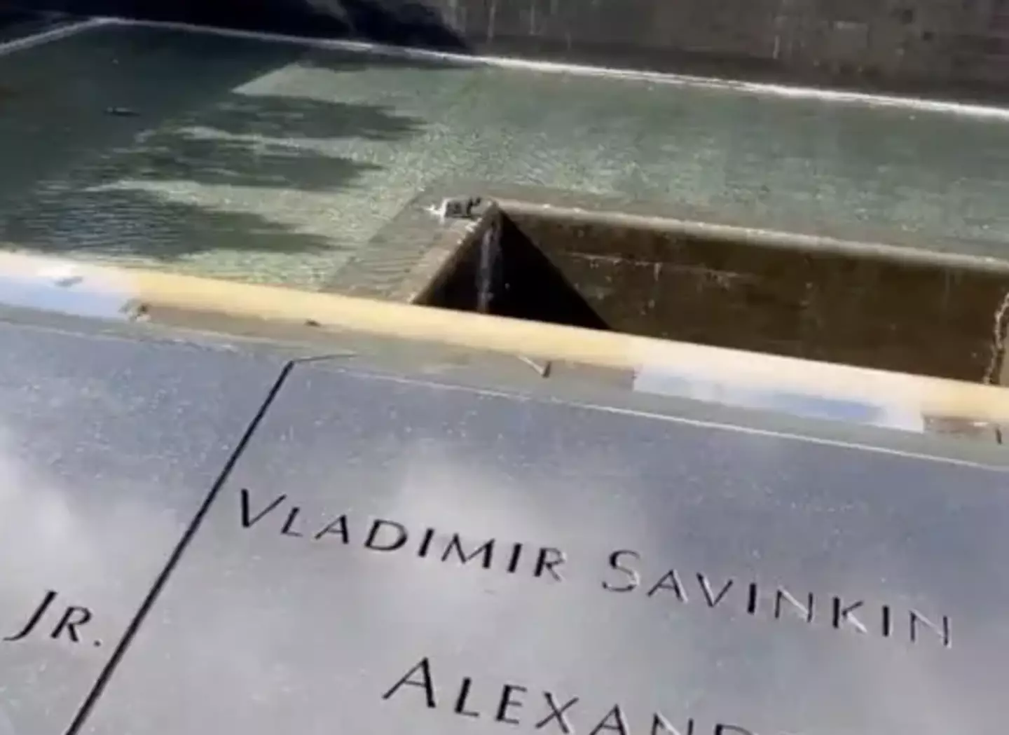 A man was seen jumping into the North Pool at New York City's 9/11 memorial.