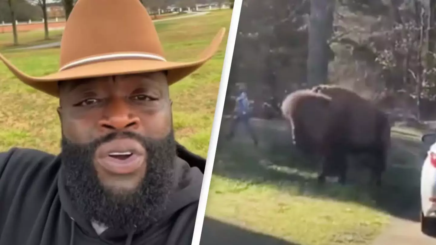Rick Ross' pet buffaloes are angering his neighbors as they keep wandering off his property
