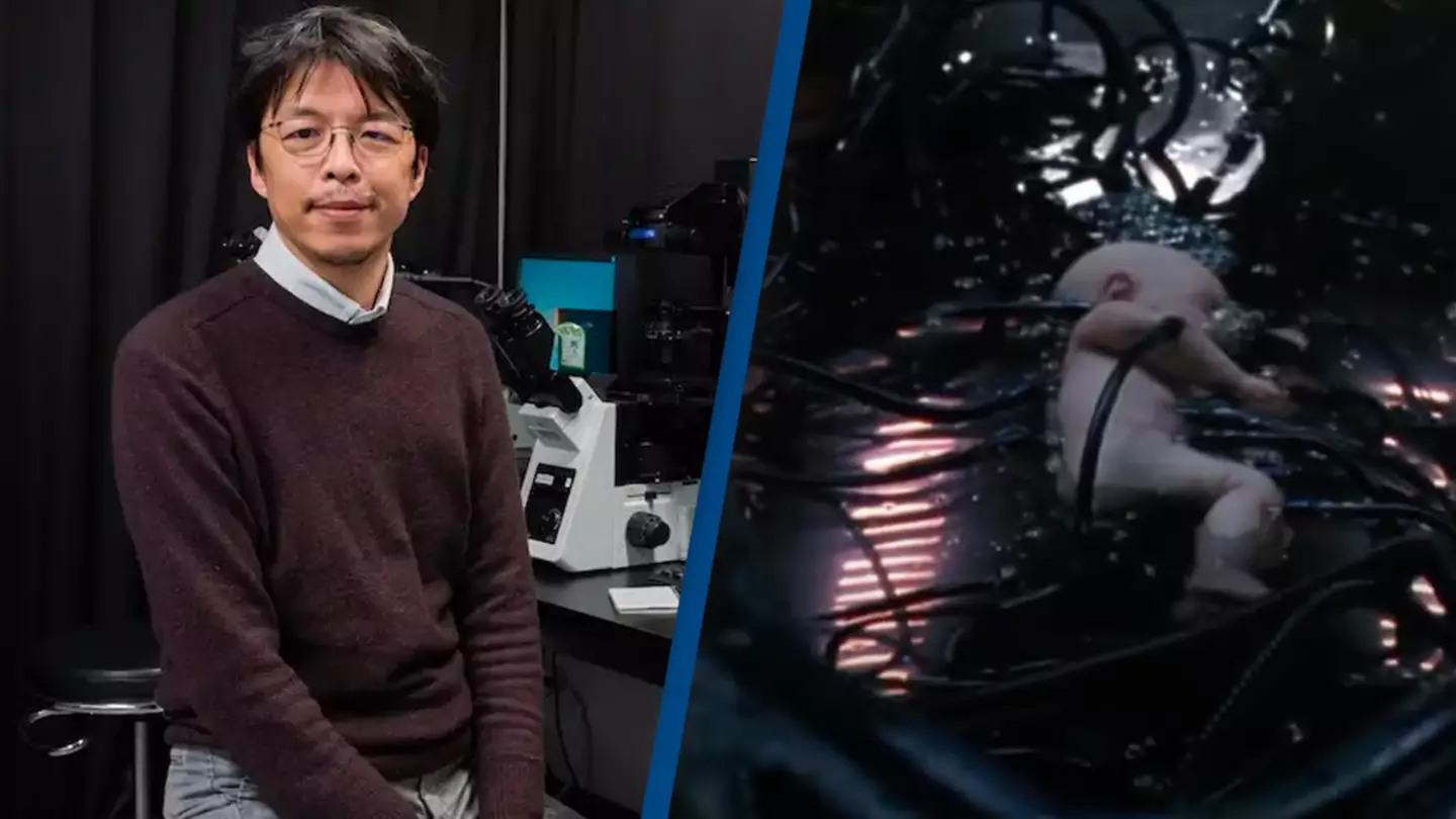 Kyushu University. Warner Bros.