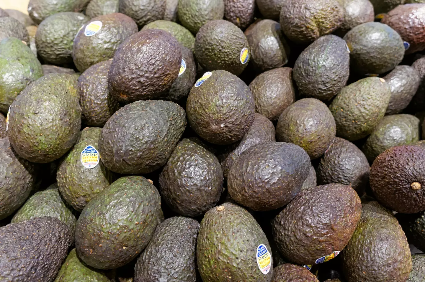 Avocados (Alamy)