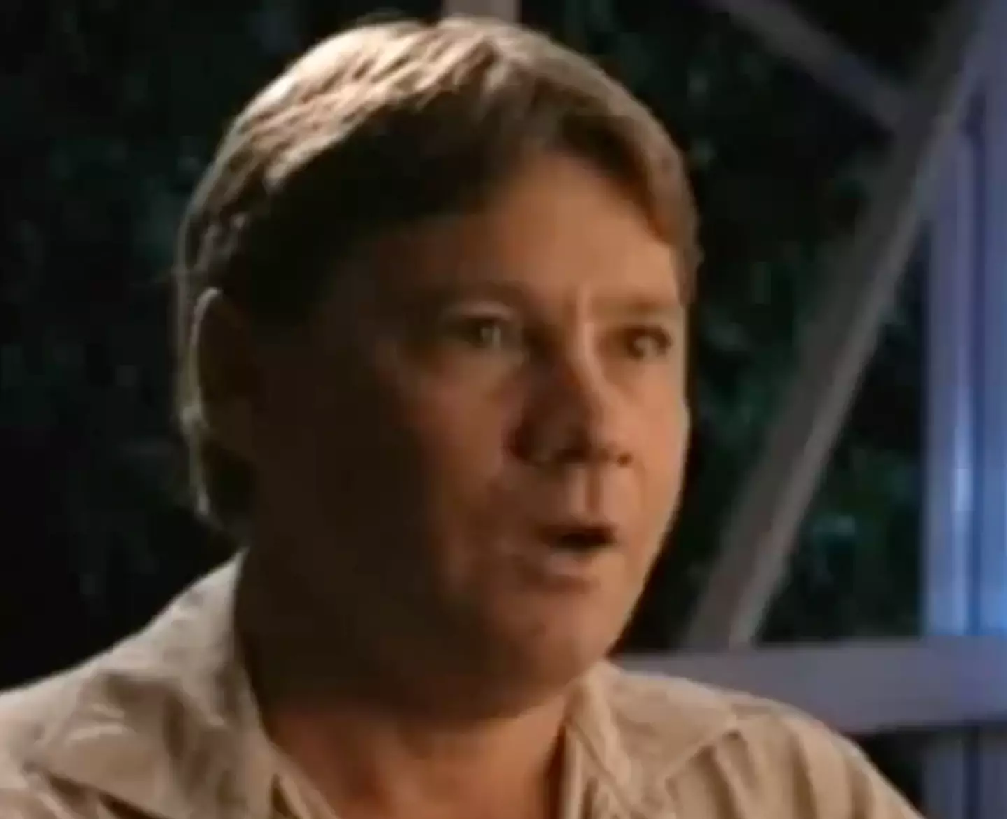 Steve Irwin took over the Australia Zoo in 1991.