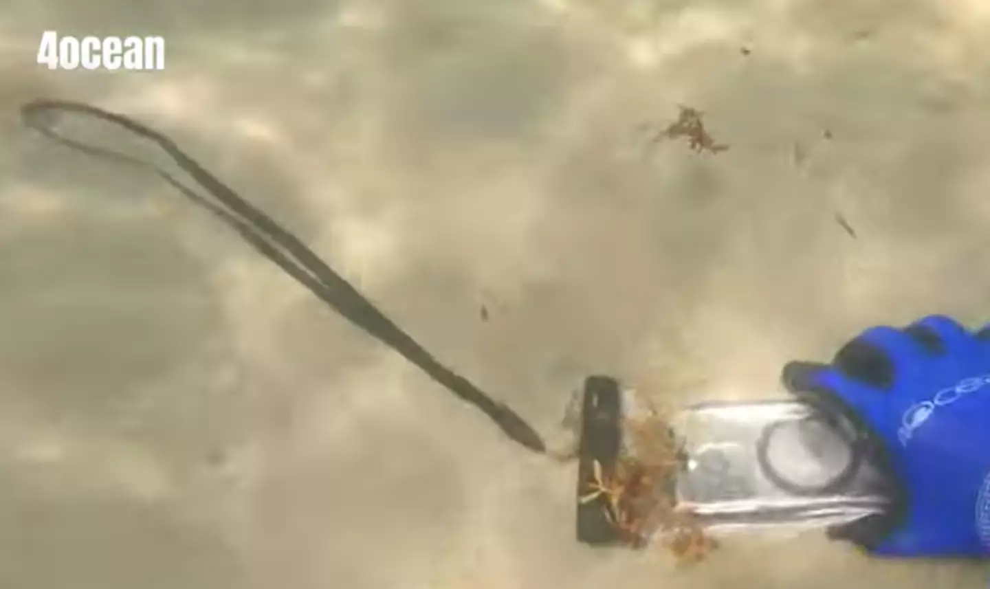 The iPhone was remarkably intact when Alex found it.