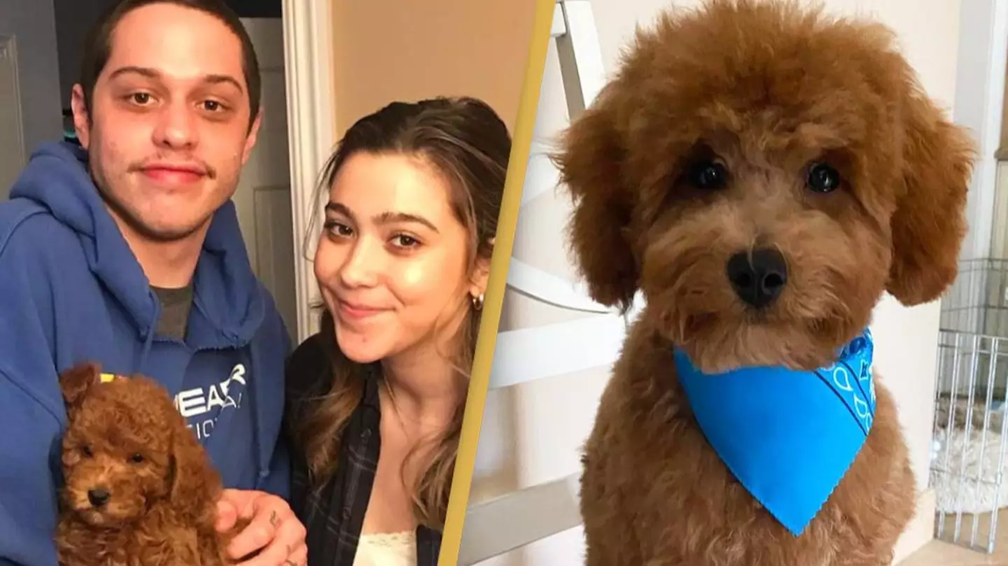 Pete Davidson's furious voicemail to PETA leaked after they criticized him for new puppy