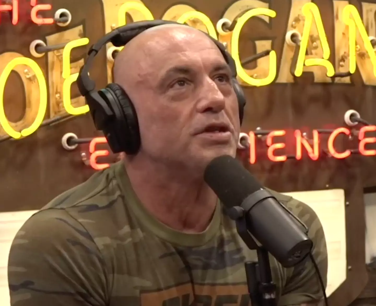 Joe Rogan argued there are songs which are 'infinitely worse'.
