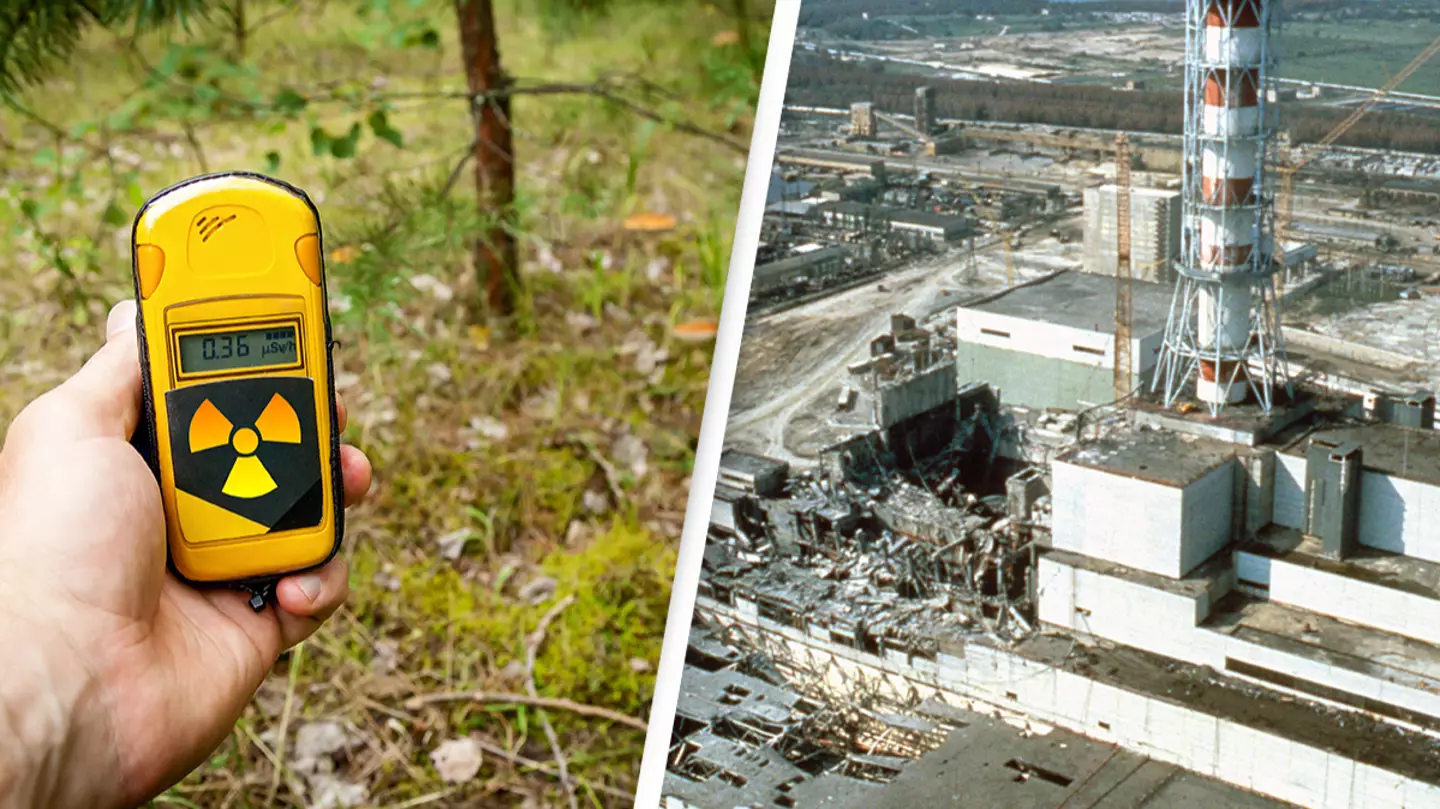 Fungus in Chernobyl nuclear disaster zone has mutated to ‘feed’ on radiation