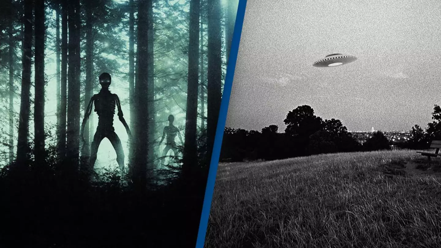 People terrified by Dark Forest Hypothesis which explains why we've never met aliens