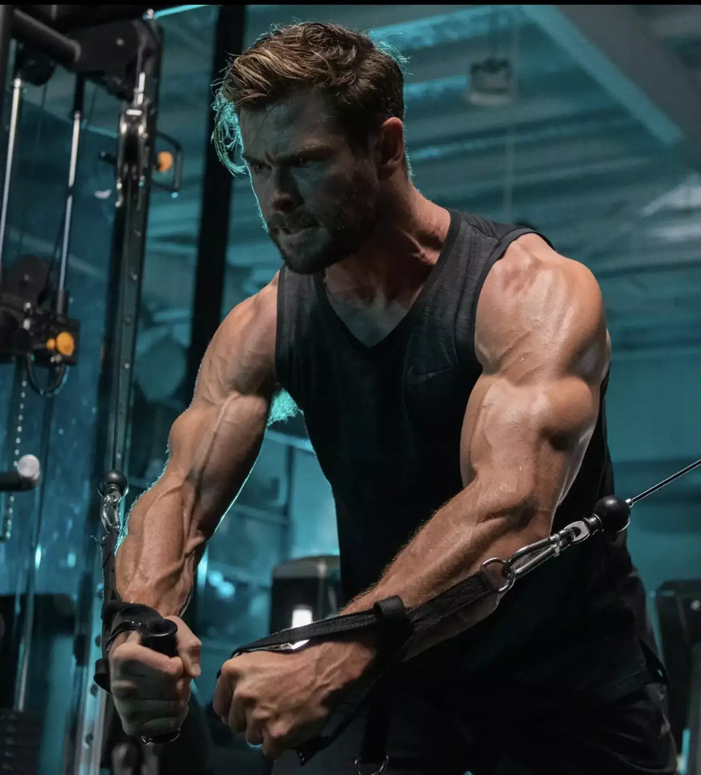 Rogan said he thinks Hemsworth uses steroids.