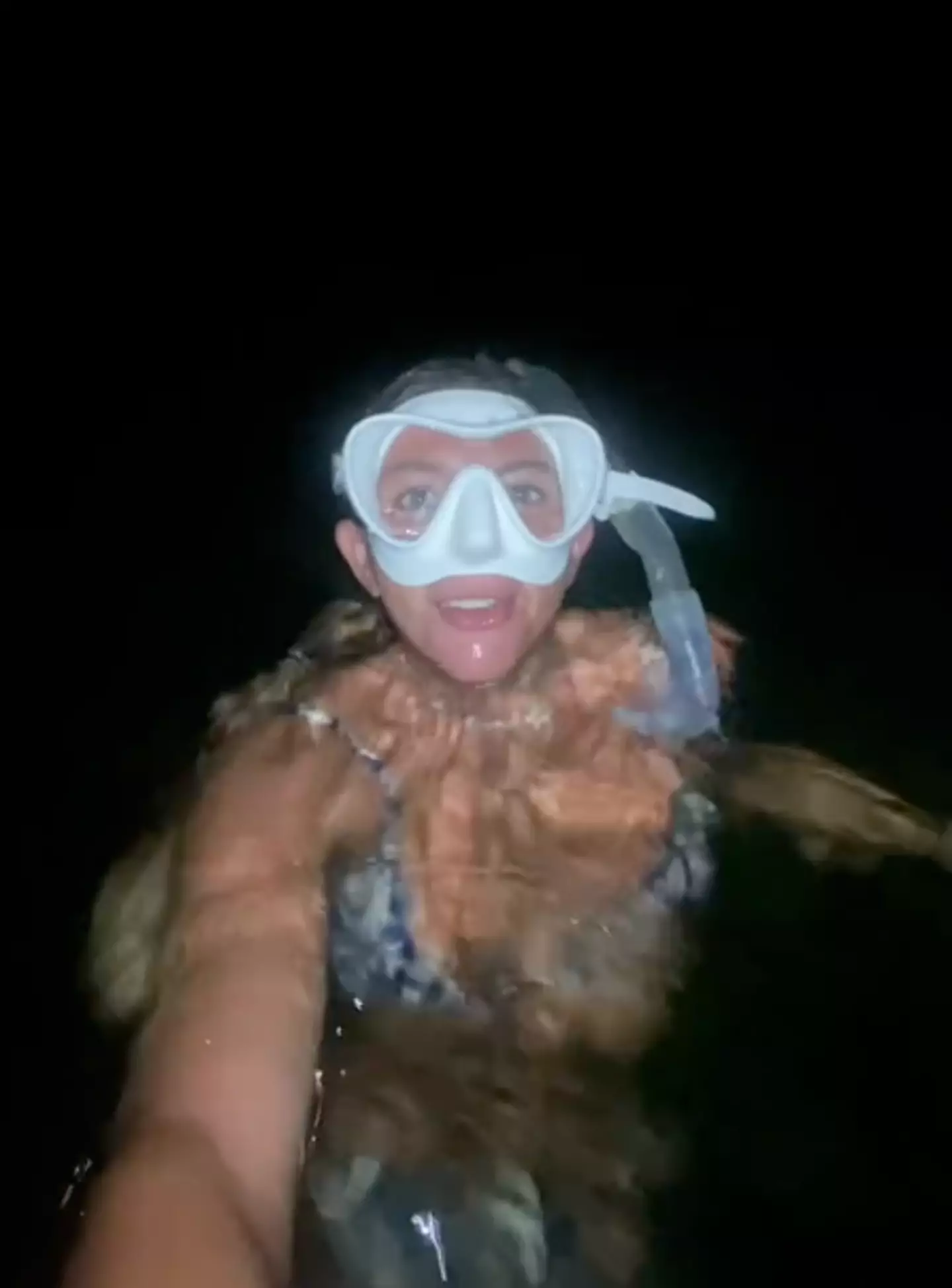 Jules went swimming in the Florida Keys (TikTok/@ajcoastal)