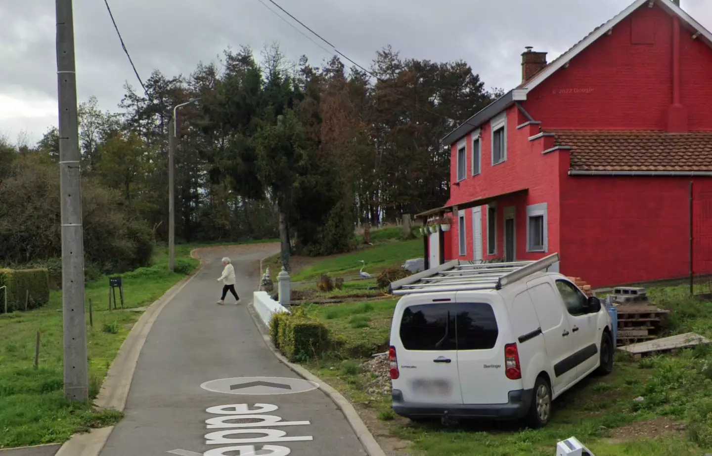 Paulette Landrieux's final moments were caught on camera by a Google Maps car collating fresh imagery of her road (Google Maps)