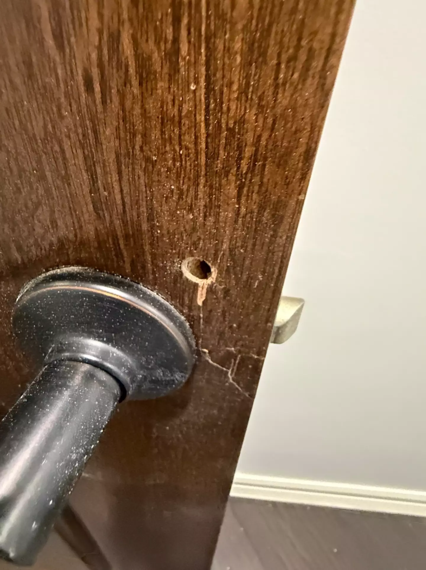 The attackers went to extraordinary lengths to get into her home (Twitter/@Amouranth)