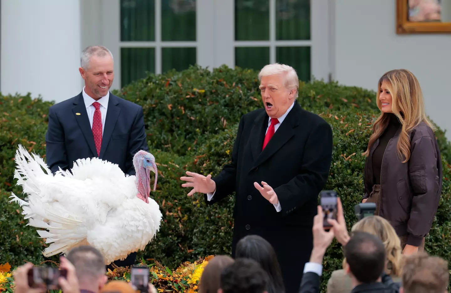 Trump pardoned Gobble the turkey for Thanksgiving this week (Heather Diehl/Getty Images)