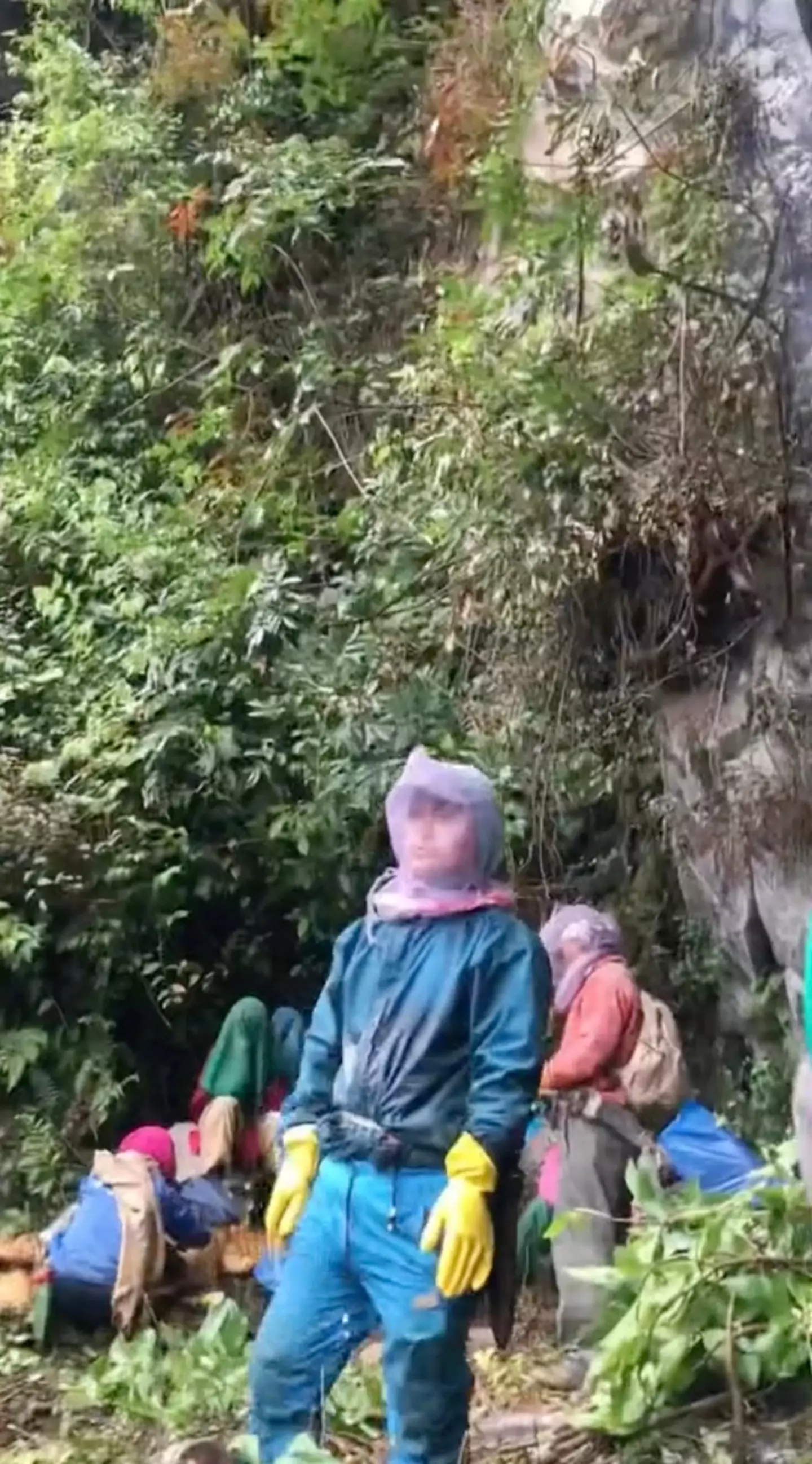 Along with the perceived hallucinogenic properties it can be an extremely dangerous substance to use.