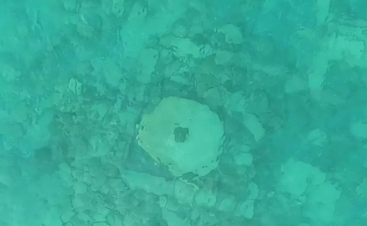 The team found evidence of a 'lost city' (Russian Academy of Sciences)