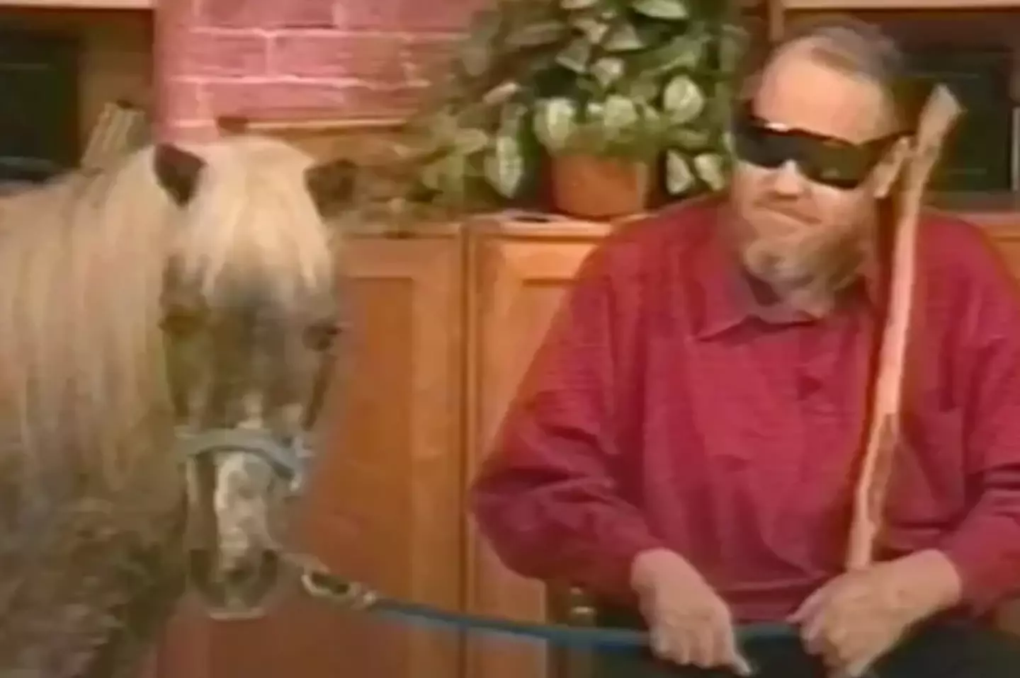 Mark seen with his Shetland pony (The Jerry Springer Show/NBC)
