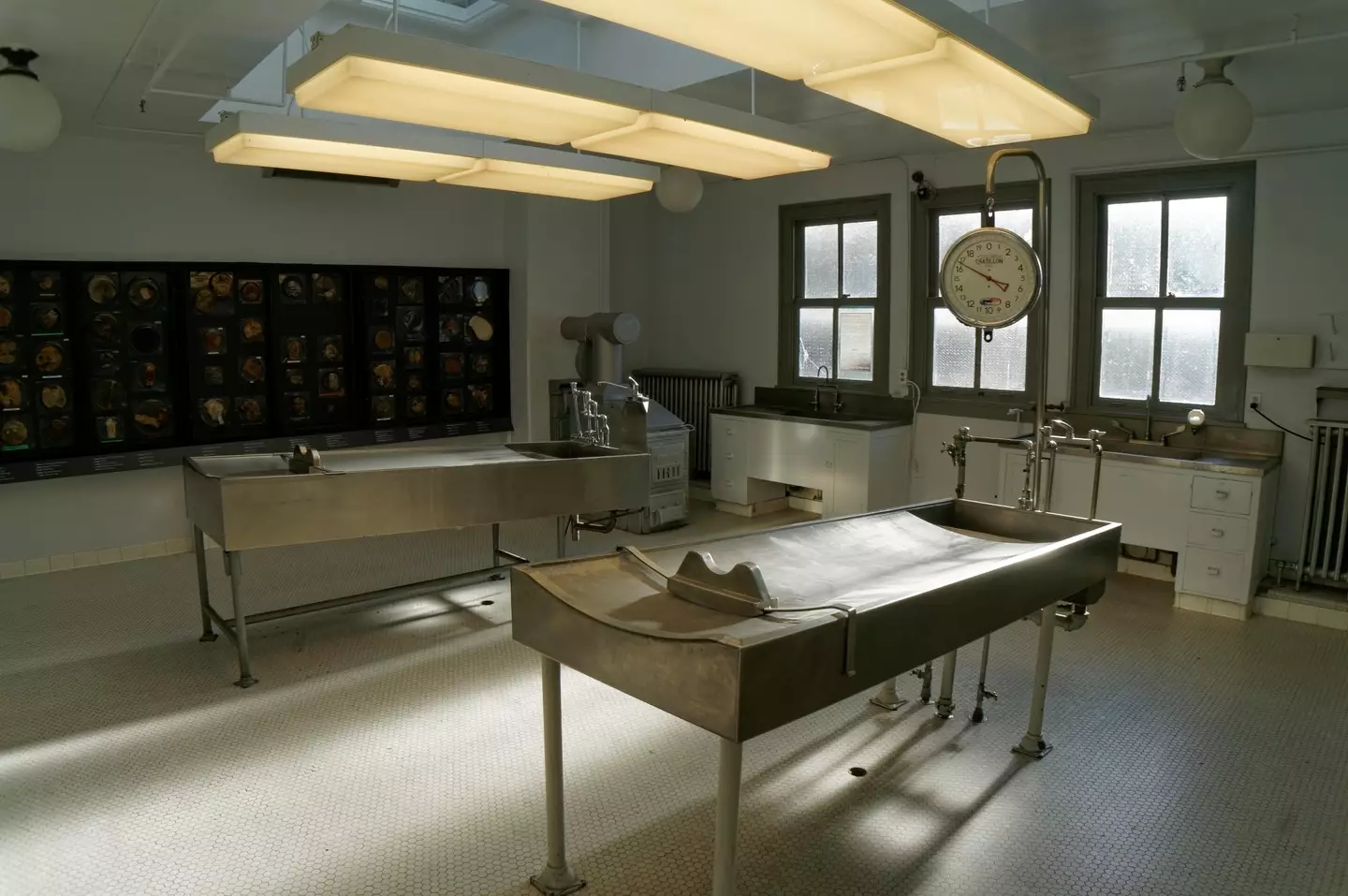 Autopsy room (Alamy)