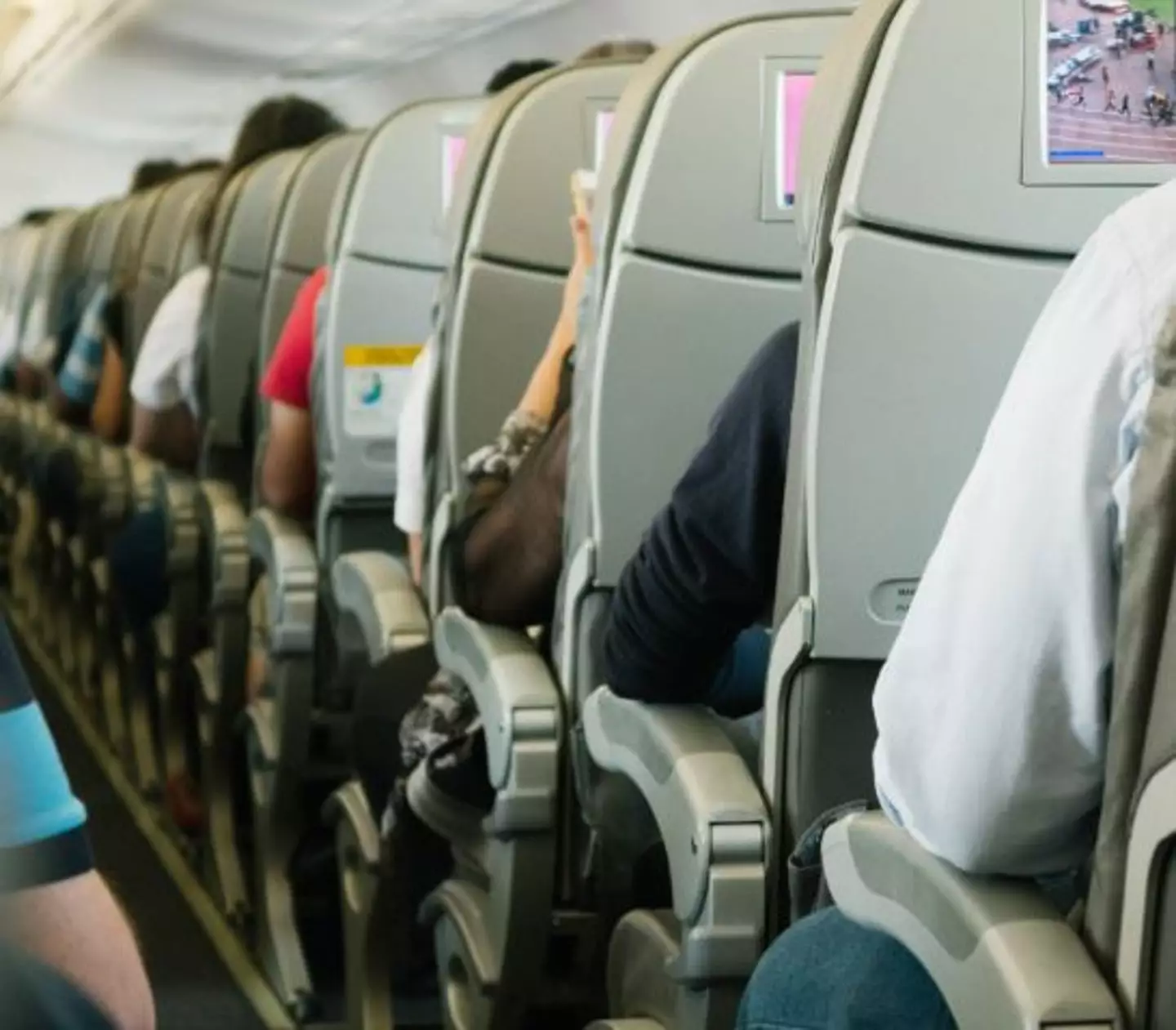 Aeroplane seats (Pexels)