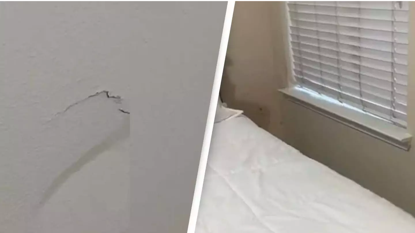 @emilyr0drigz/TikTok