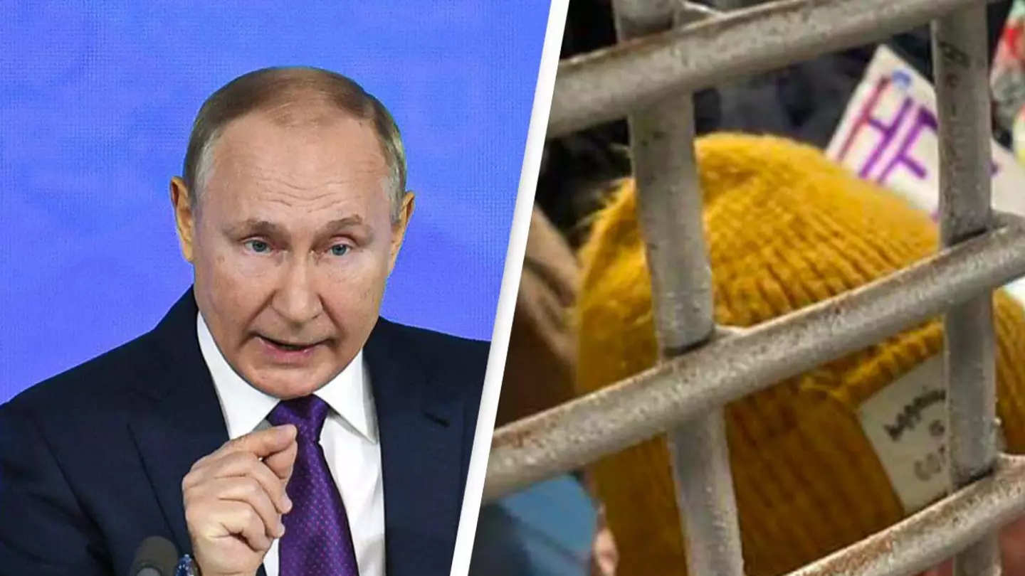 Alamy/@IlyaYashin/Twitter