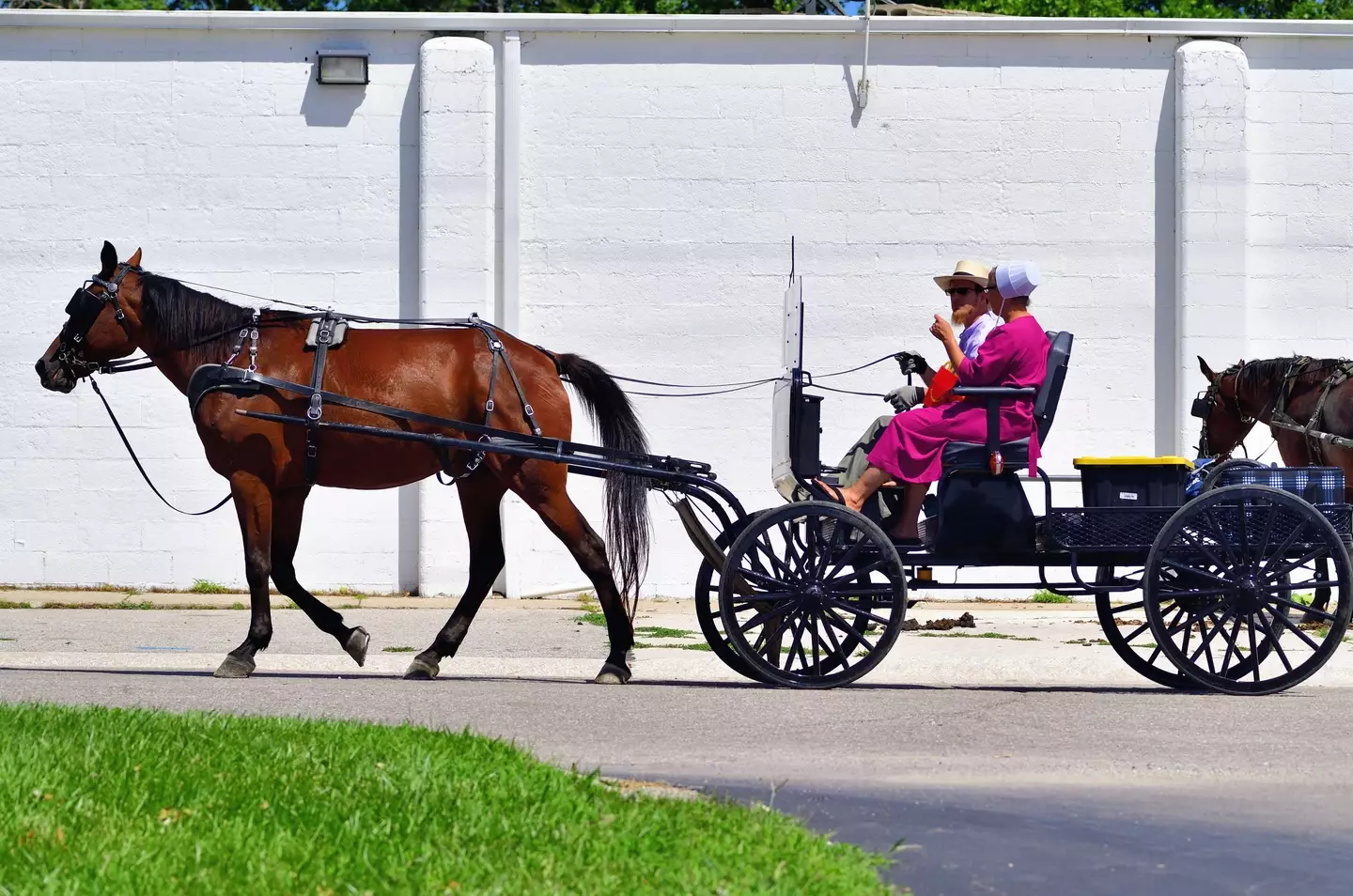 The drunken man and his horse had come from an Amish community.