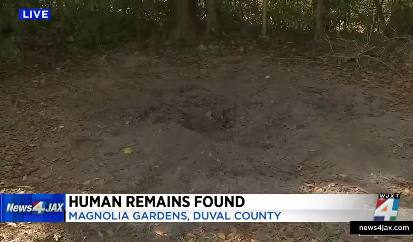 The body was found in the backyard of the Jacksonville home.