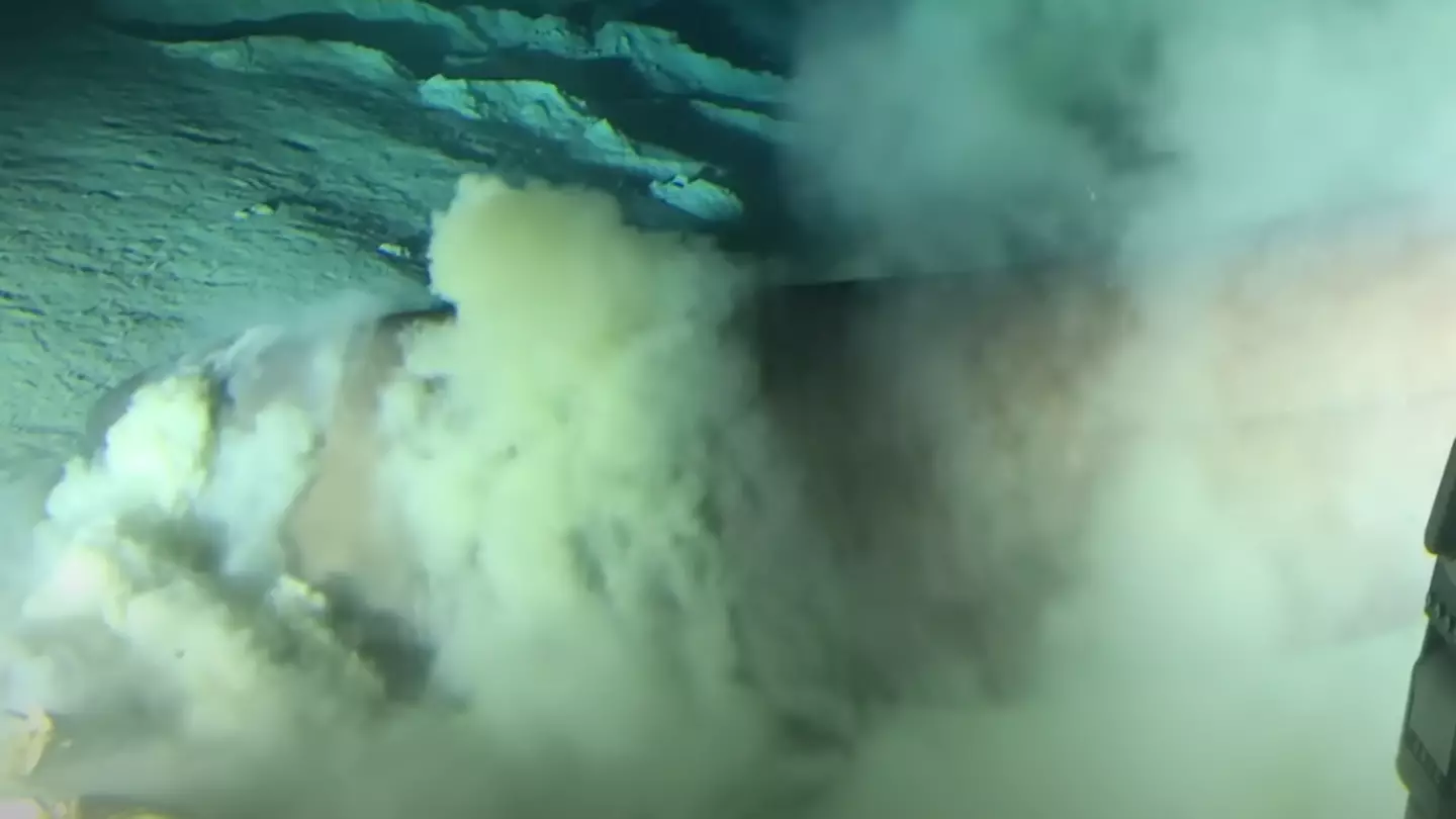 People have ‘chills’ after scientists filming in deep-sea make ‘unsettling’ discovery