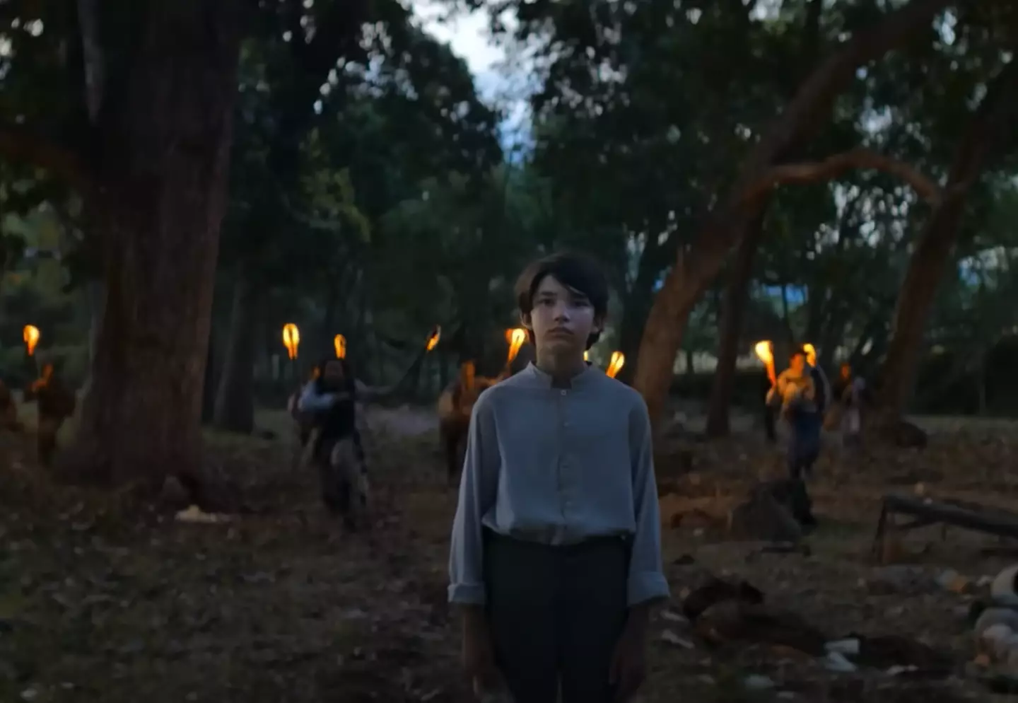 Fans have demanded a second season to cover the rest of the book it is based on (Netflix)