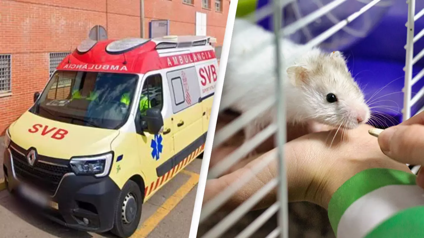 Mother with two kids suddenly dies after being bitten by pet hamster