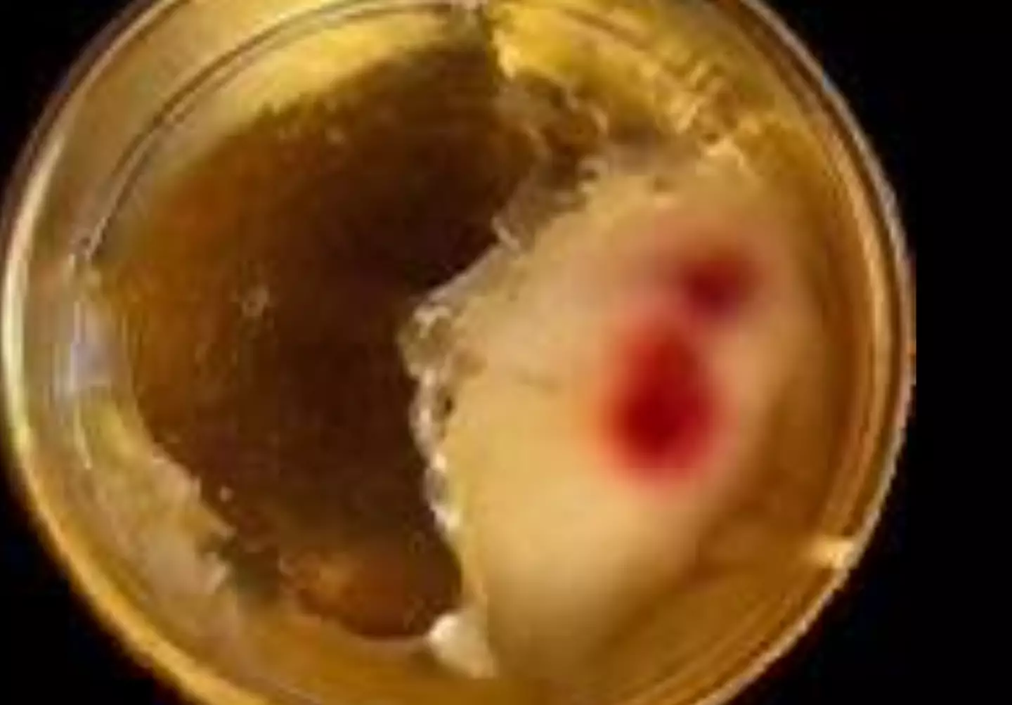 The wafer was covered in a red substance (Facebook/Corpus Christi for Unity and Peace)