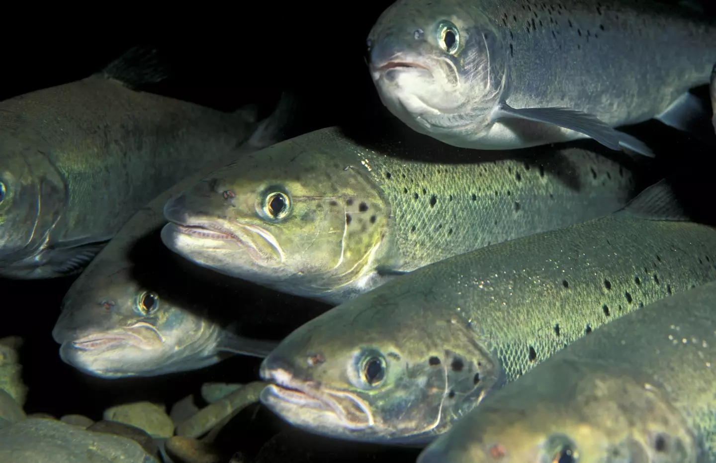 There's a lot of 'waste' involved in the industry right now (Getty Stock Images/ Schafer and Hill)