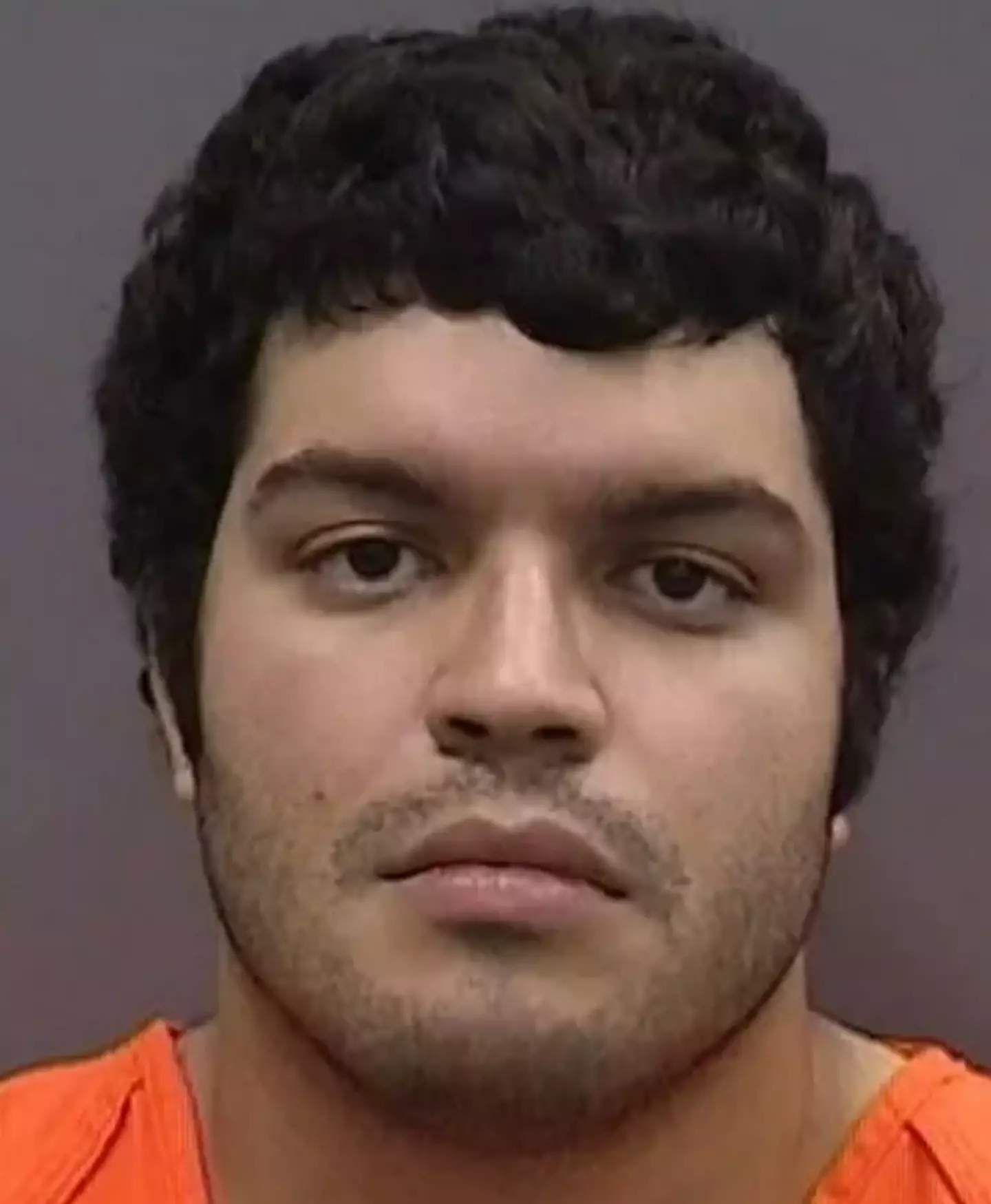 Giovanny Aldama Garcia has been charged with third-degree felony aggravated animal cruelty (Hillsborough County Sheriff's Office)