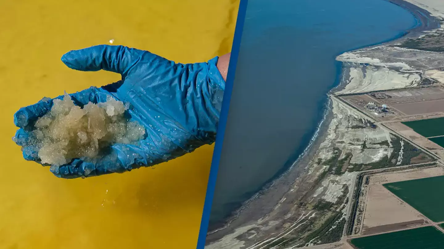 Scientist explains huge stumbling block in accessing $540,000,000,000 'white gold' discovery