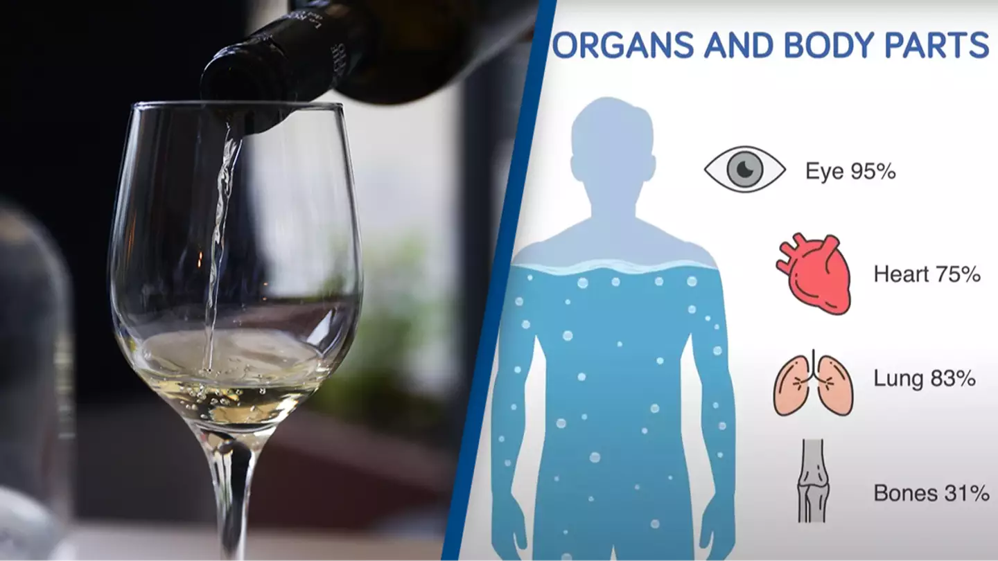 Eerie simulation shows exactly happens to your body when you quit drinking alcohol