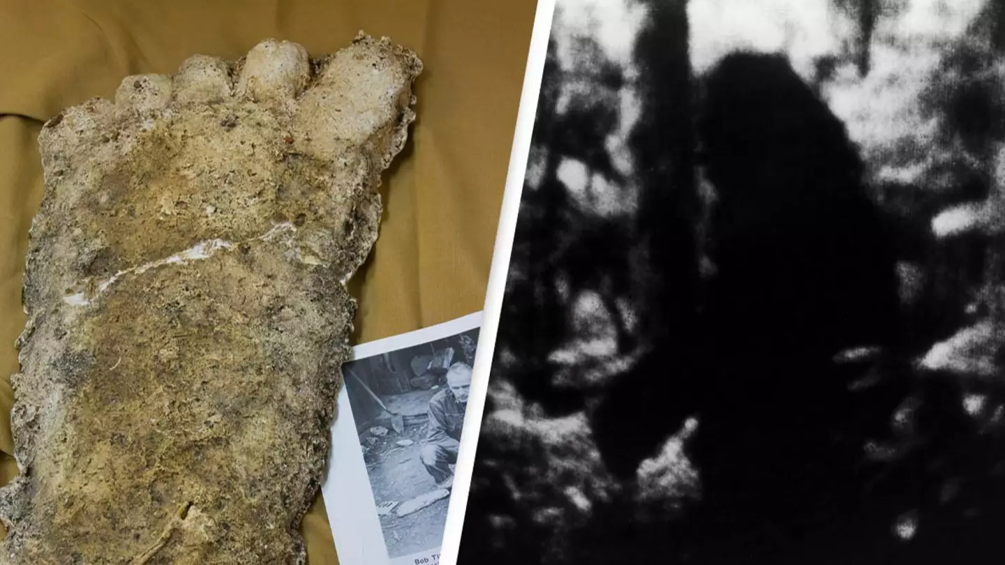 Hiker Claims He Has Proof Of Bigfoot’s Existence