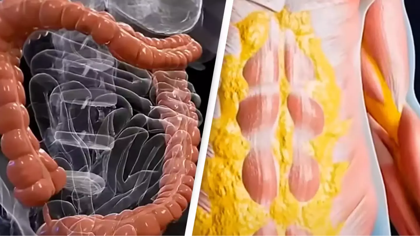 Exactly what happens to your body when you fast for 36 hours as shocking simulation reveals extreme impact