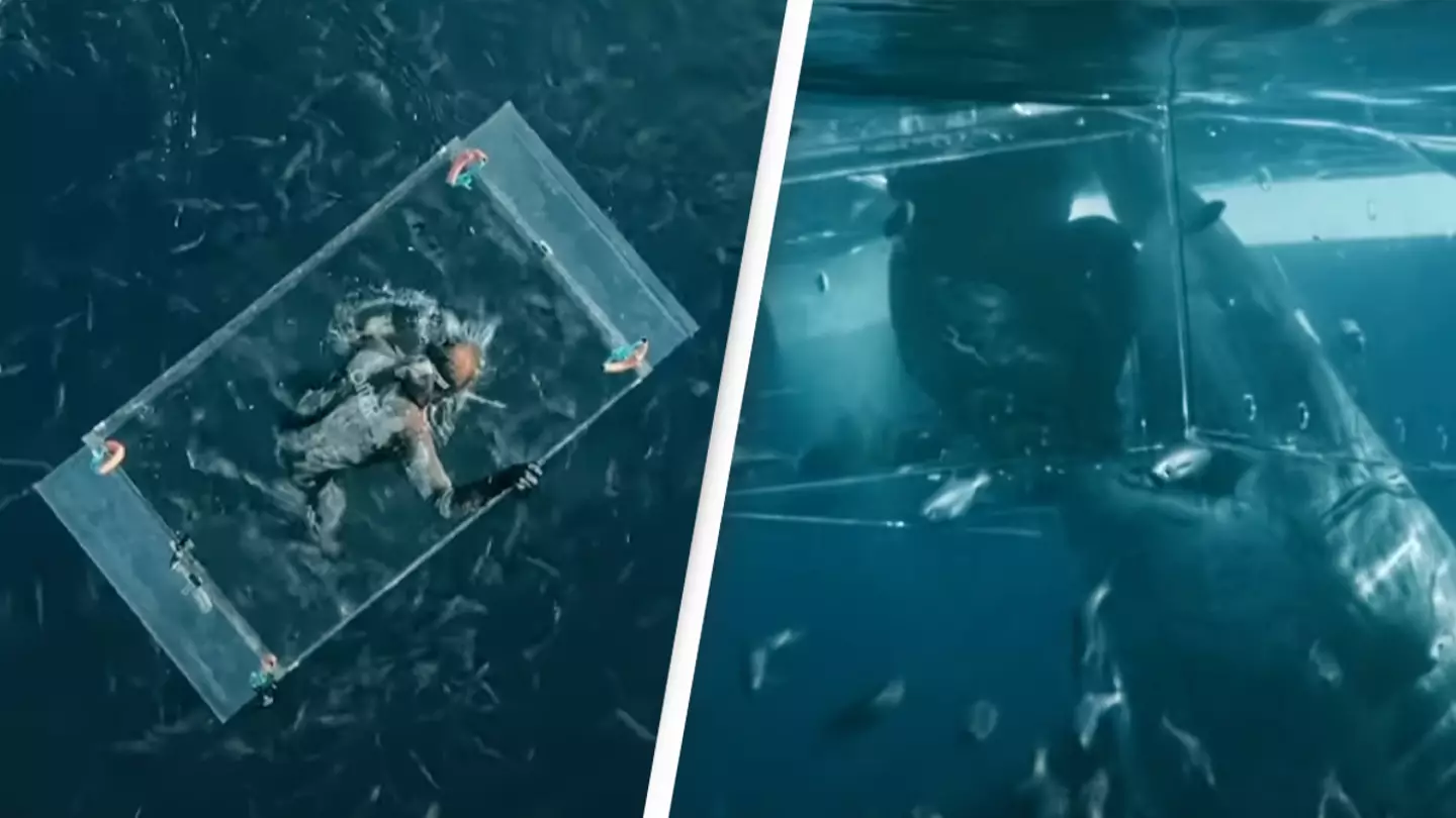 Diver miraculously survives terrifying moment 16ft shark smashed into glass tank