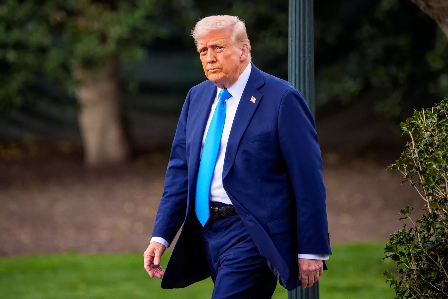 Donald Trump has ordered for almost all federal employees to return to in-person work (Andrew Harnik/Getty Images)