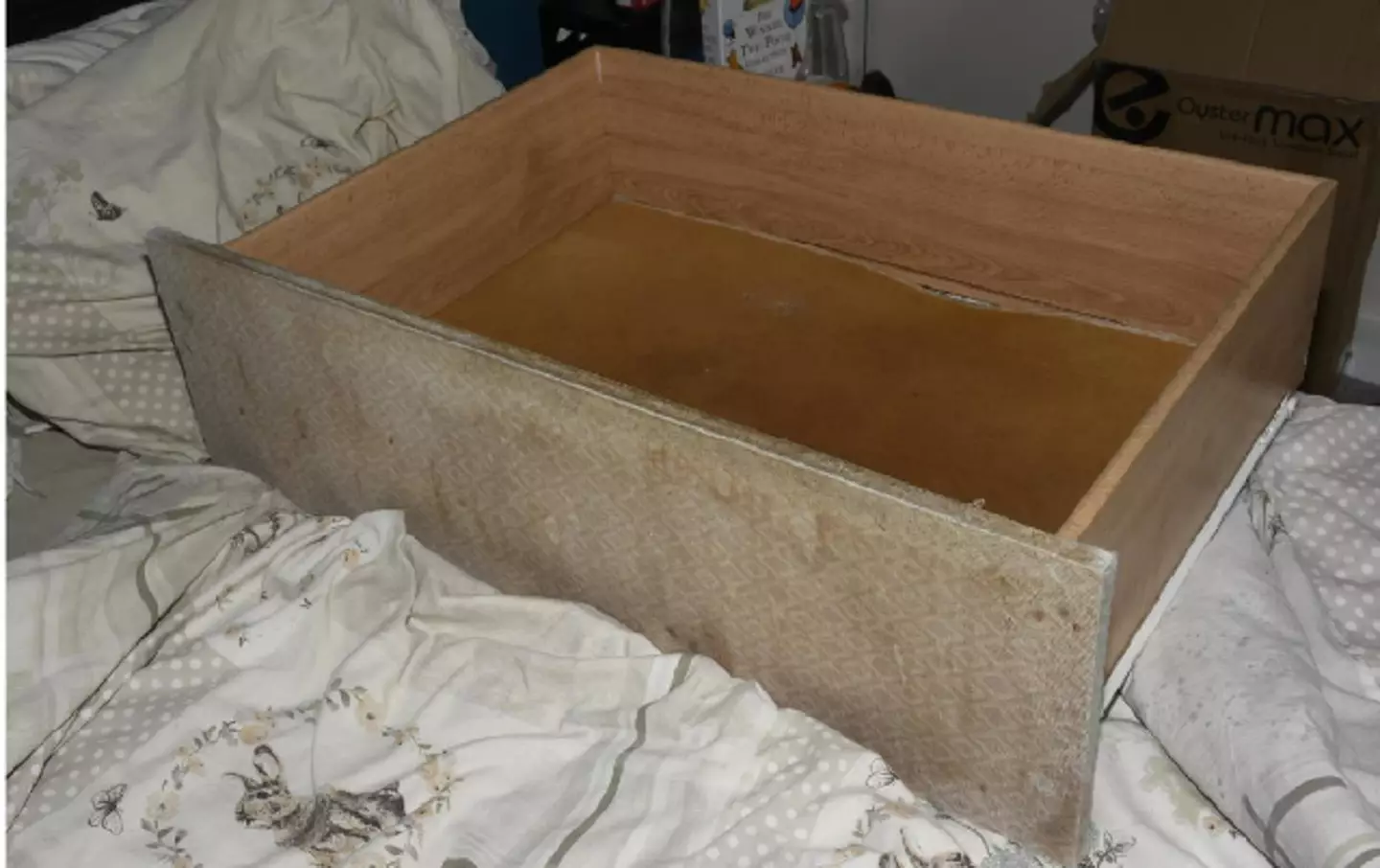 A social worker described her 'overwhelming horror' (CPS)