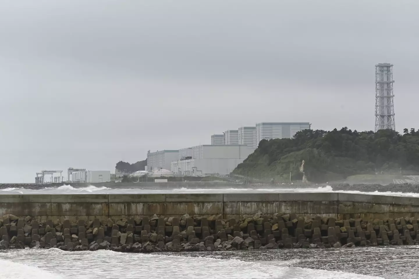 Employees at the Fukushima nuclear plant have been evacuated (David Mareuil/Anadolu via Getty Images)