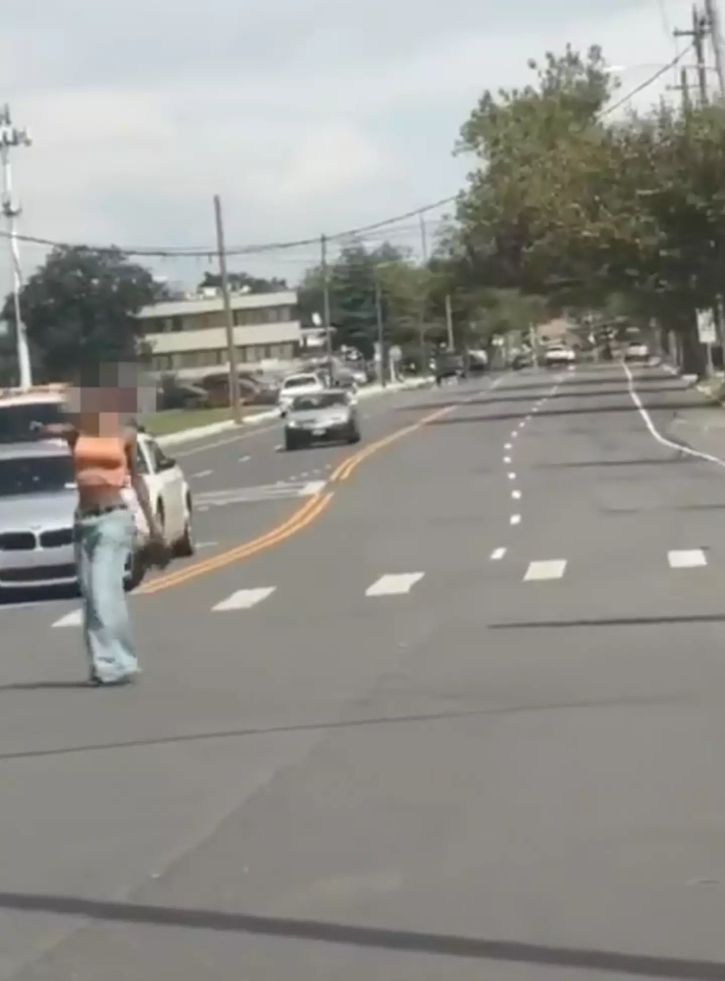 The woman pointed a gun at cars.