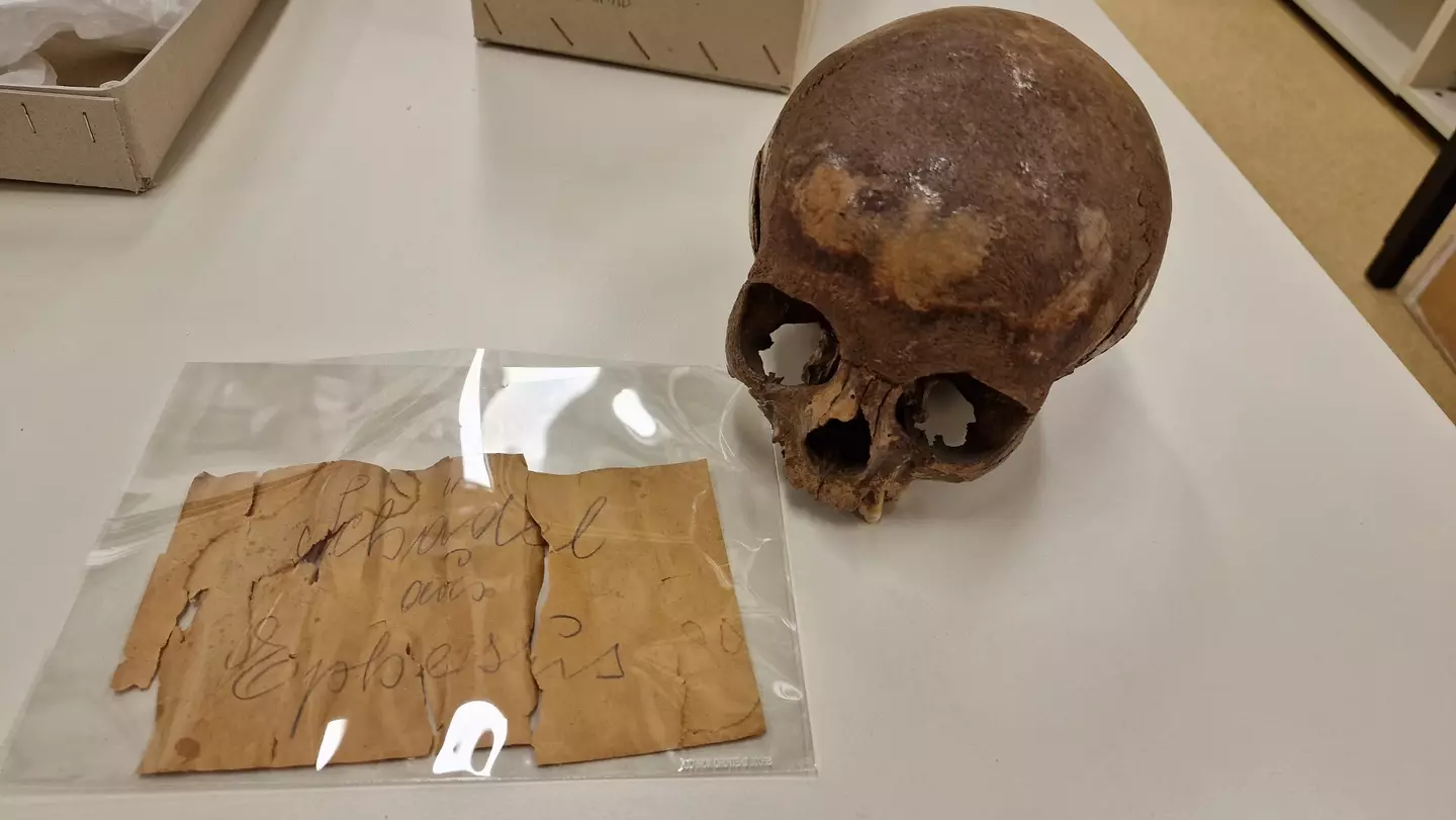 They now believe the skull belongs to a young boy (Gerhard Weber, University of Vienna)
