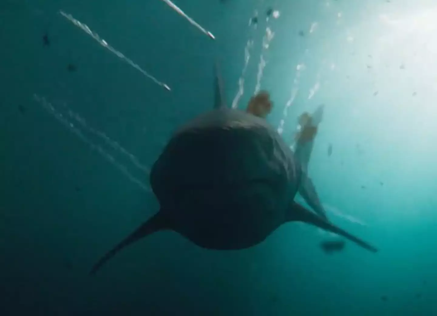 Under Paris is truly terrifying. (Netflix)