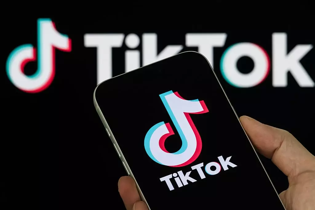 Americans are deleting their TikToks en masse (Cheng Xin/Getty Images)