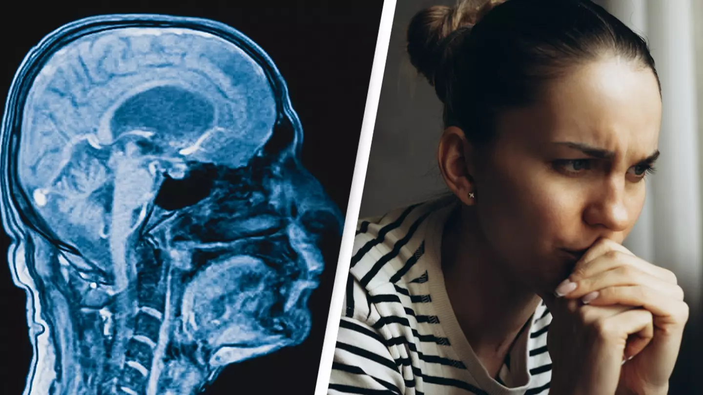 Elif Bayraktar/Getty / Vera Livchak/Getty