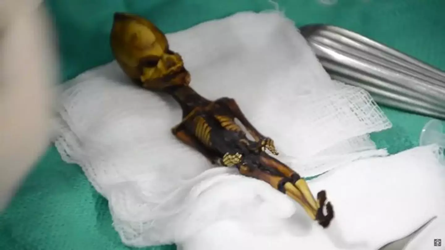 The tiny body was found at a Church in Chile.