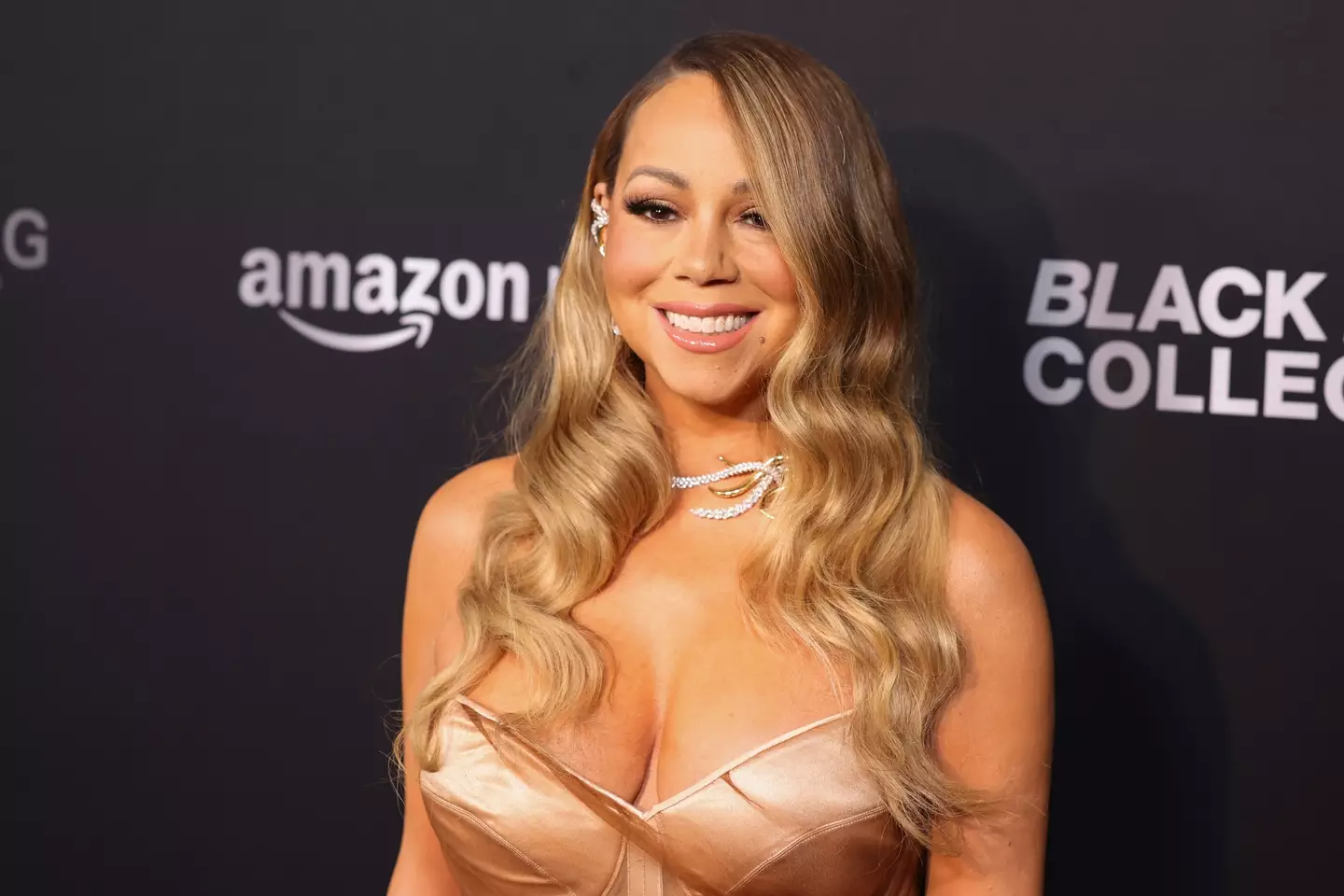 Mariah Carey's mom and sister have sadly died on the same day. (Mark Von Holden/Billboard via Getty Images)