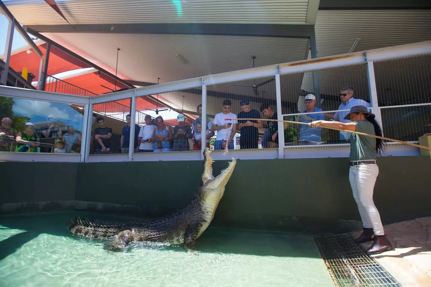 Burt lived at the Darwin sanctuary for 16 years (Facebook/Crocosaurus Cove Darwin)